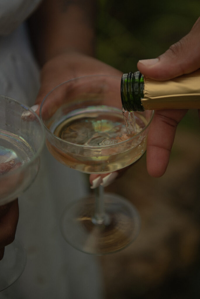 A close-up photo of champagne being poured into a coupe glass during a celebratory engagement session in a Houston garden.