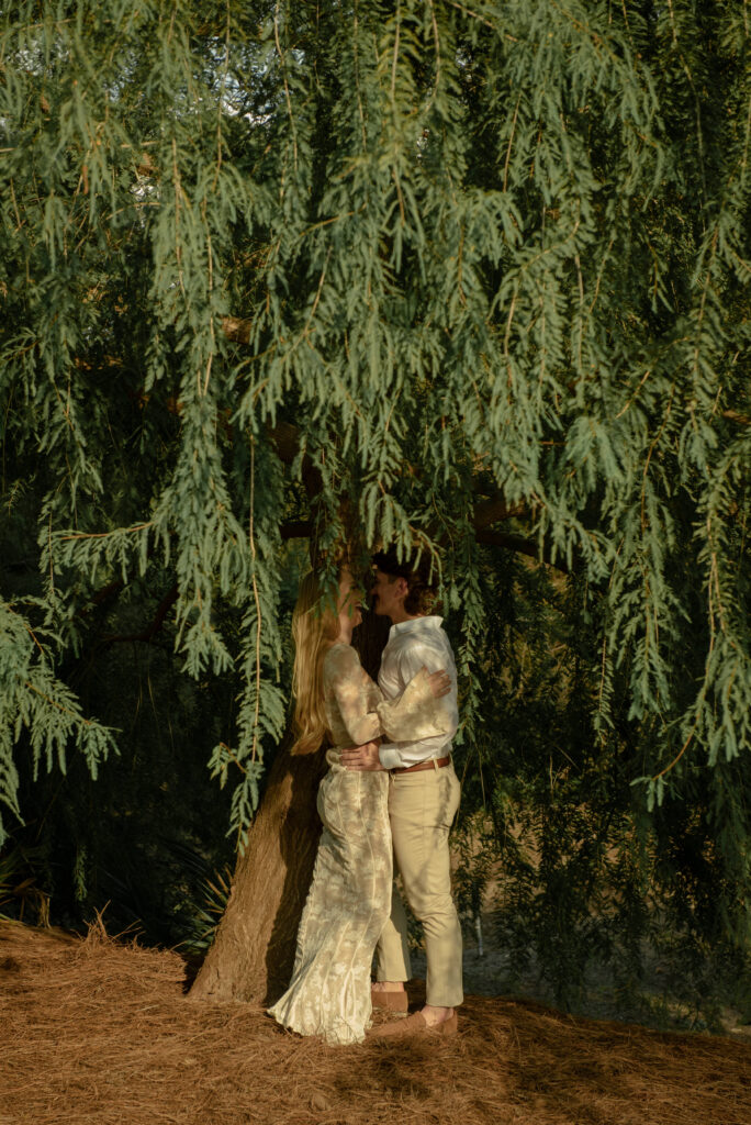 Romantic engagement photo of a couple embracing beneath evergreen trees at Mercer Botanic Gardens in Houston Texas