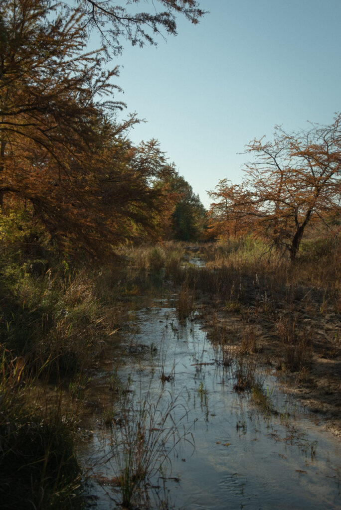 Texas Hill Country landscape in Wimberley, Texas, featuring autumn trees and natural creek during an intimate elopement day.