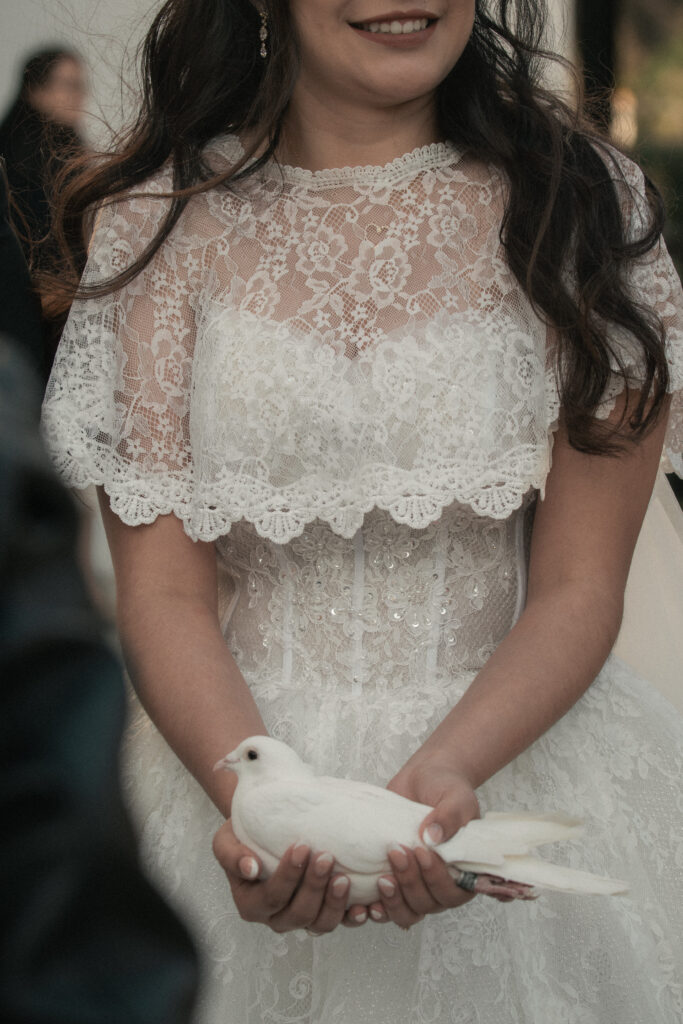 Bride holding a white dove, lace wedding dress detail, soft romantic wedding portrait.