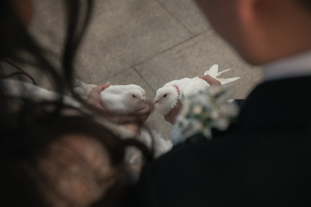 Close up of two people holding white doves before a wedding dove release, intimate wedding detail photo.
